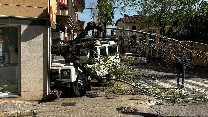 Un cotxe xoca contra una façana a Moià després d&#039;arrossegar un arbre i una bústia