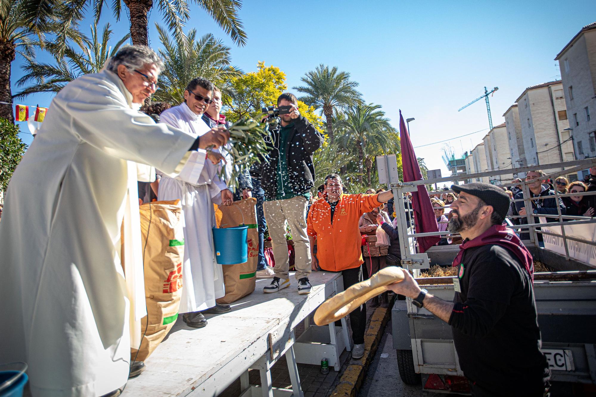 Romería y Bendición de animales en San Antón de Elche