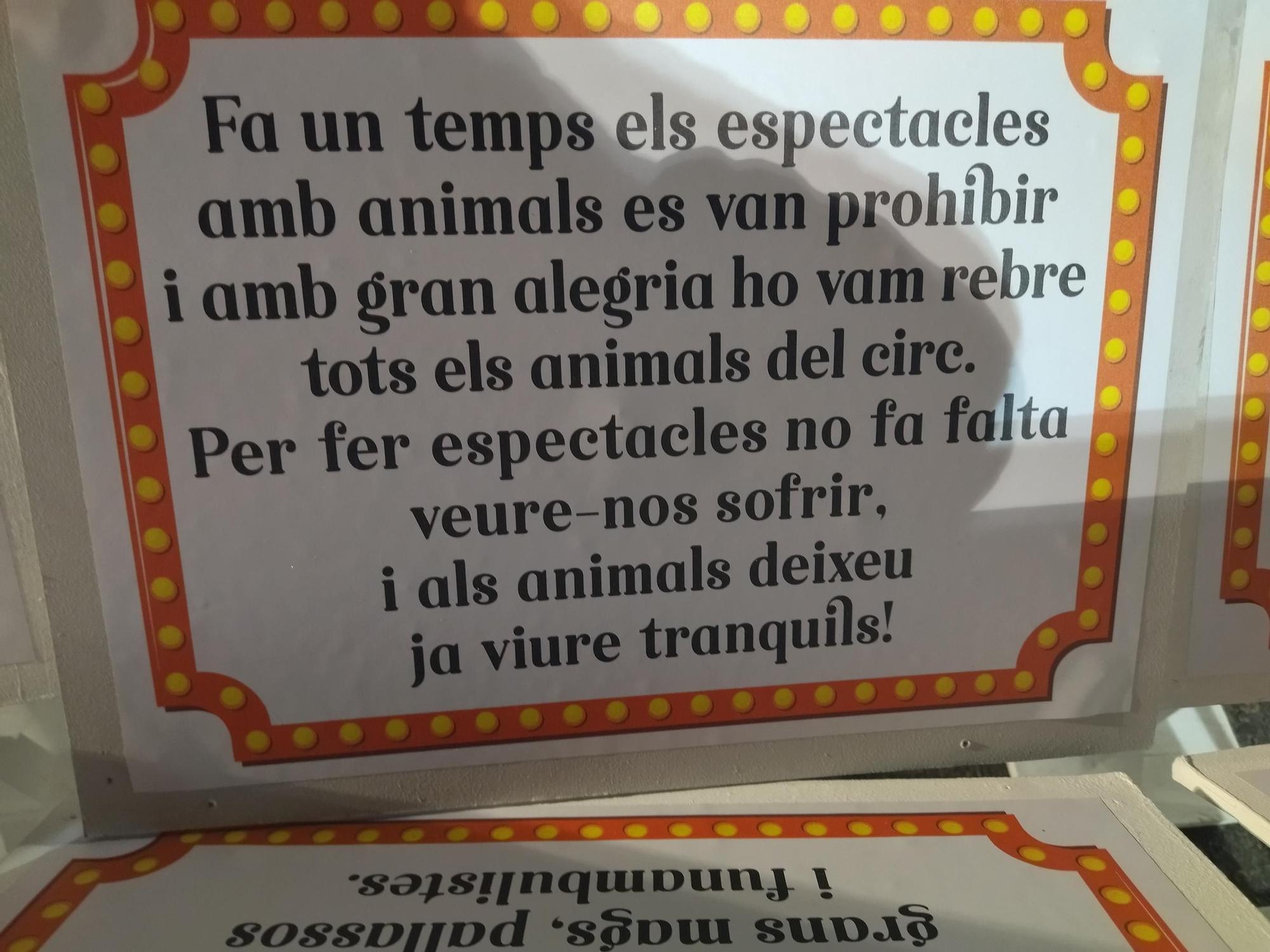 Trepidante y primaveral noche de "plantà" en las Fallas de Dénia (imágenes)