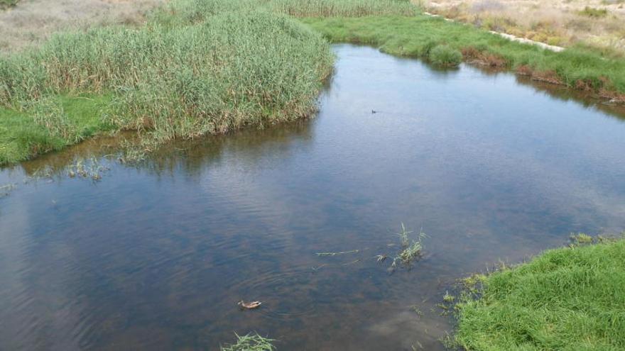 Tramo del cauce del Río Seco en el municipio de El Campello.