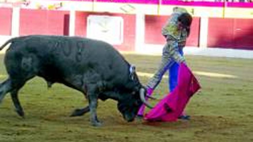 La federación taurina premia a la ganadería Núñez del Cubillo