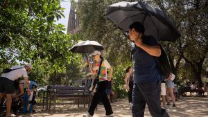 Barcelona enfrenta una intensa ola de calor: temperaturas récord y alertas por altas temperaturas