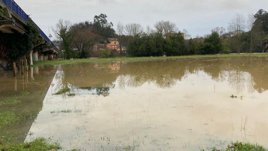 El prau Salcedo, en Pravia, inundado ayer. | F. L. J.