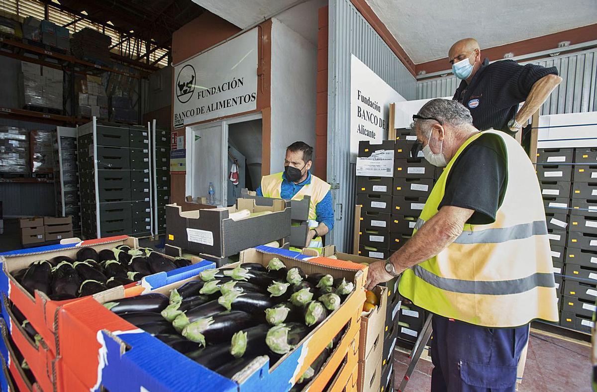 Hortalizas que envía el Estado al Banco de Alimentos, 25.000 kilos semanales a la provincia. | PILAR CORTÉS