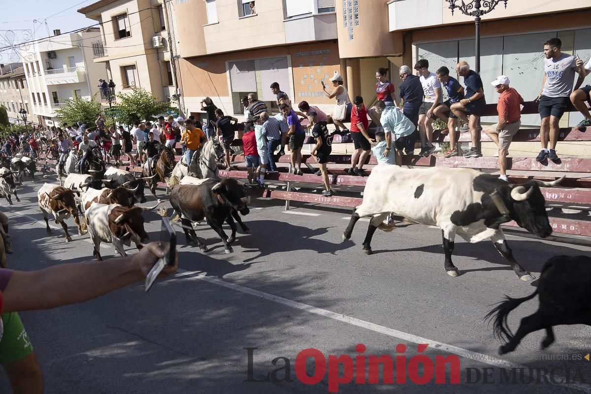Séptimo encierro de las Fiestas de Moratalla