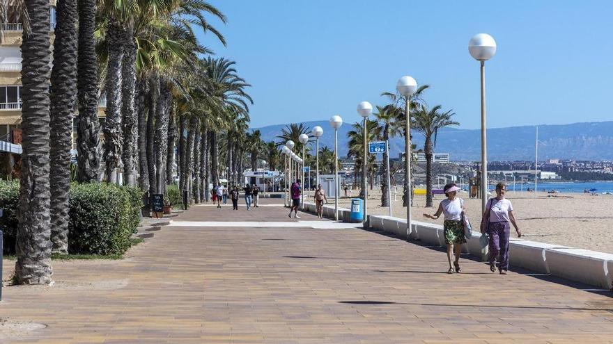 Tomás Durá, un camino entre la playa de Urbanova y el saladar que no pierde la calma
