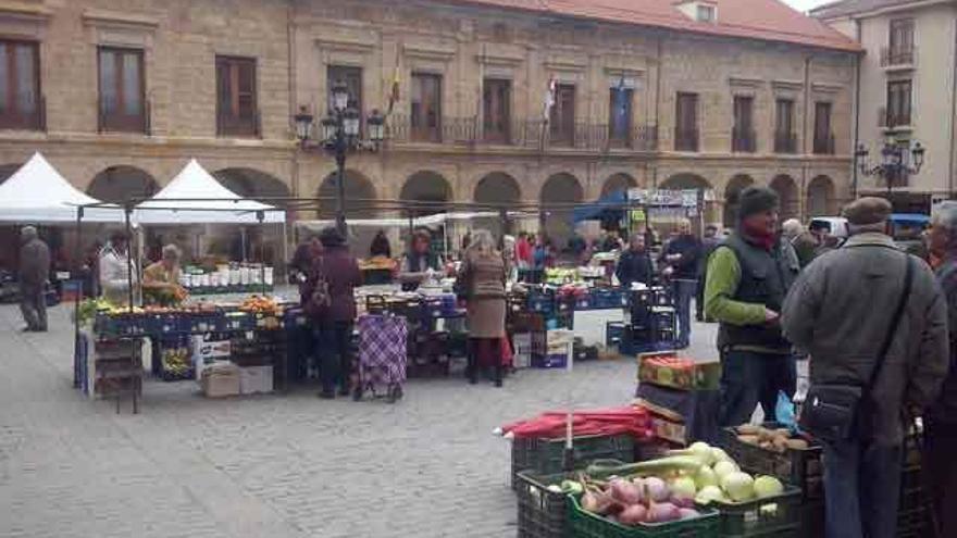 Vista general del mercadillo de la verdura en la Plaza Mayor ayer jueves.