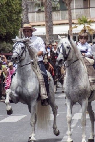 El desfile ecuestre toma el Real de Torrevieja