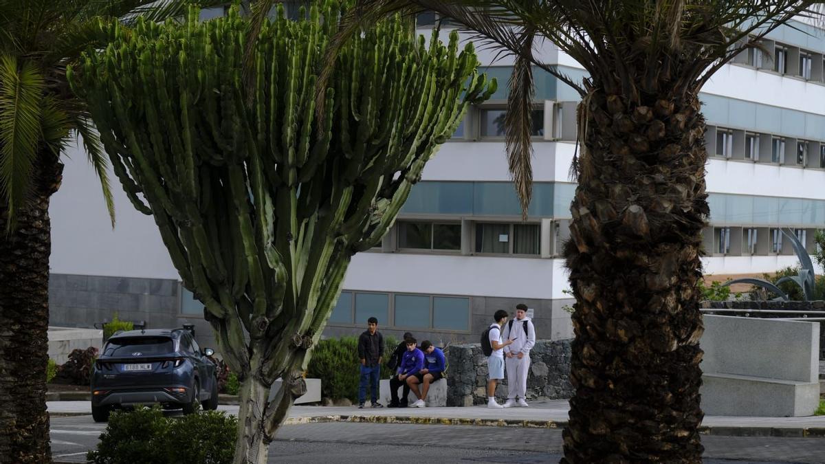 Un grupo de alumnos en el Campus de Tafira de la Universidad de Las Palmas de Gran Canaria.