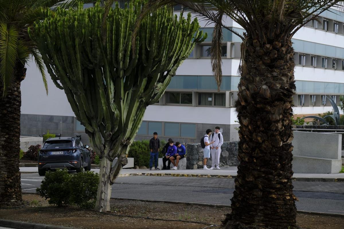 Un grupo de alumnos en el Campus de Tafira de la Universidad de Las Palmas de Gran Canaria.