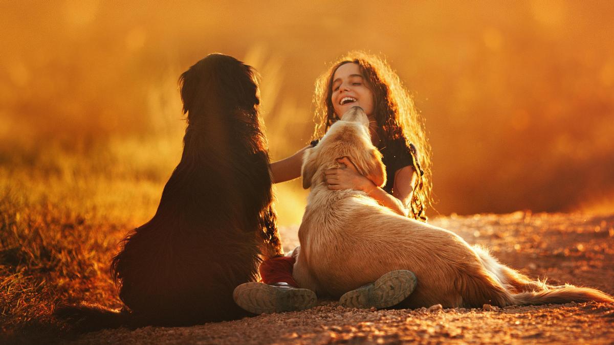 Razas de perros | Las 10 mejores razas de perro para vivir con niños