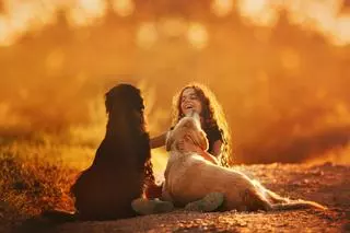 Las 10 mejores razas de perro para convivir con niños