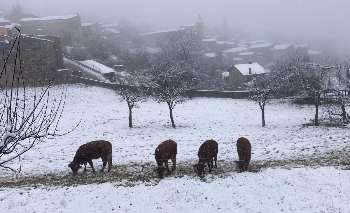 Catalunya s’endinsa en el Nadal més turbulent des de l’any 2008