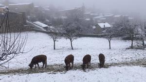 Catalunya s’endinsa en el Nadal més turbulent des de l’any 2008