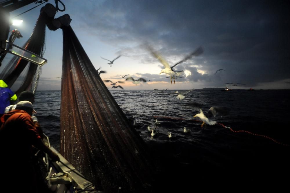 Jornada de pesca de bajura // I.Abella