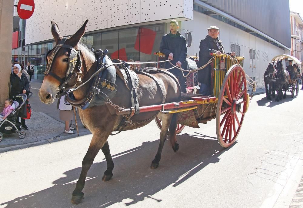 Festa de Sant Antoni de Sant Vicenç de Castellet