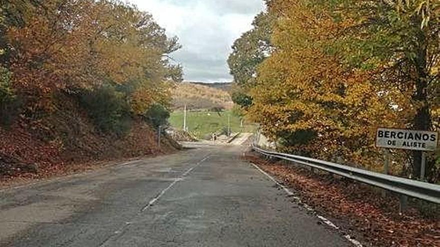 Tramo de la carretera de Bercianos de Aliste.