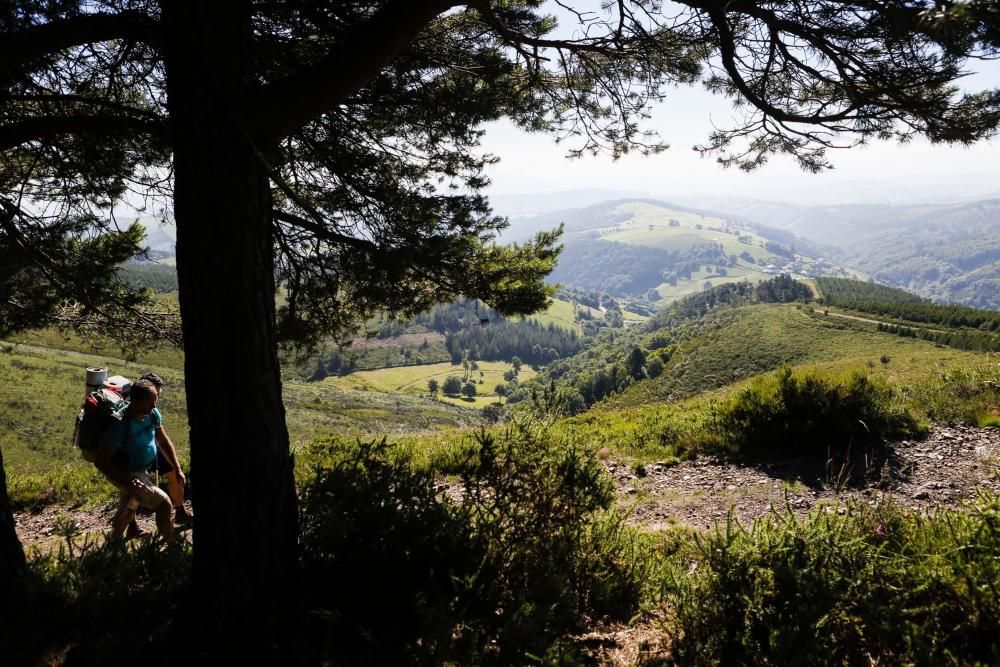 Camino de Santiago: Recorrido del camino primitivo por el tramo de los hospitales