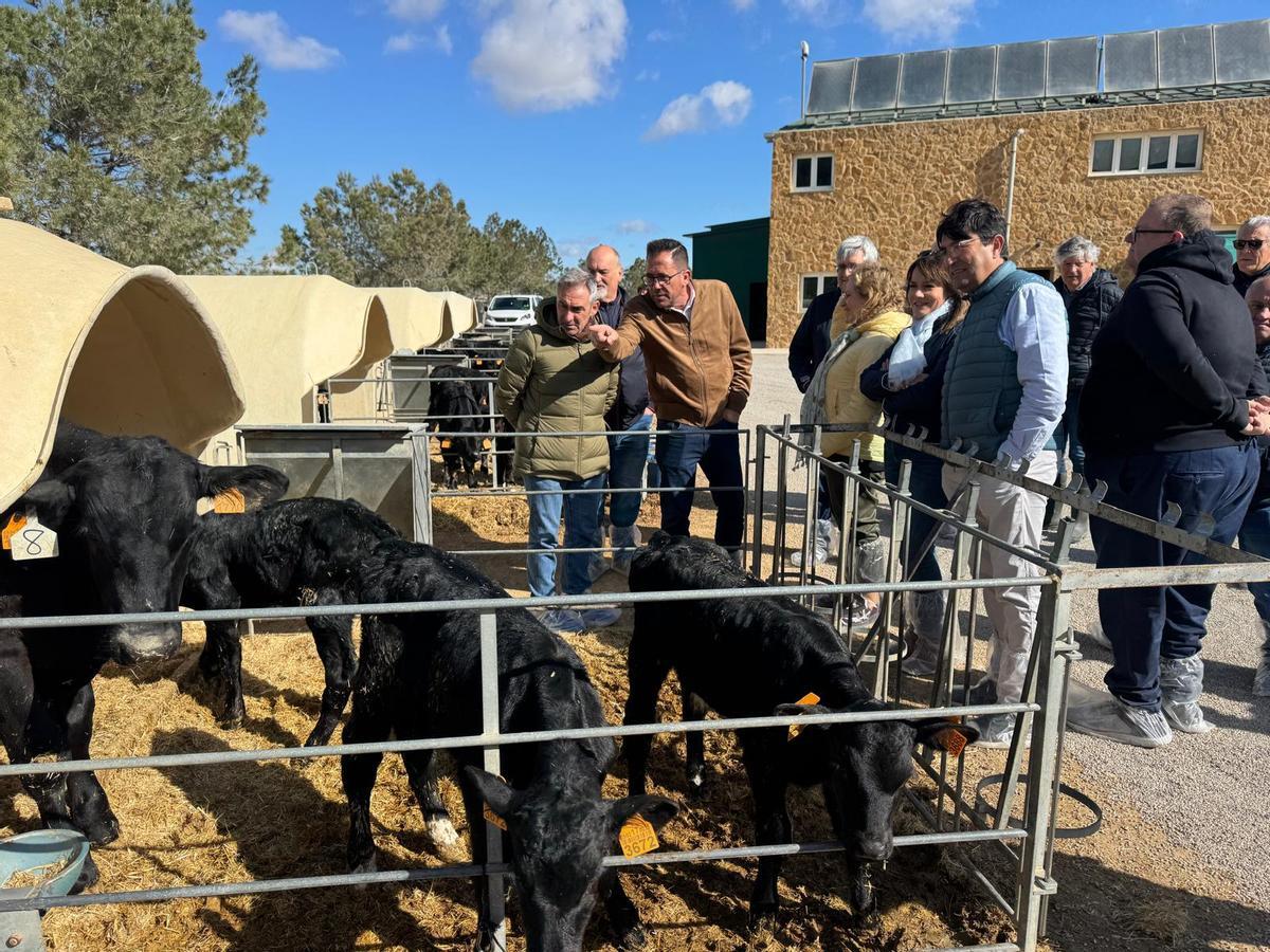 El conseller durante su visita a una vaquería de Villena