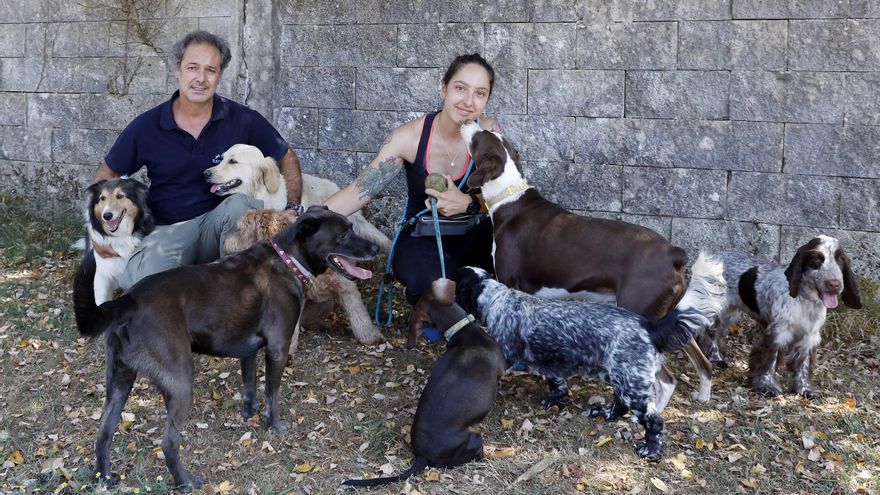 Vacaciones vip para mascotas en Vigo
