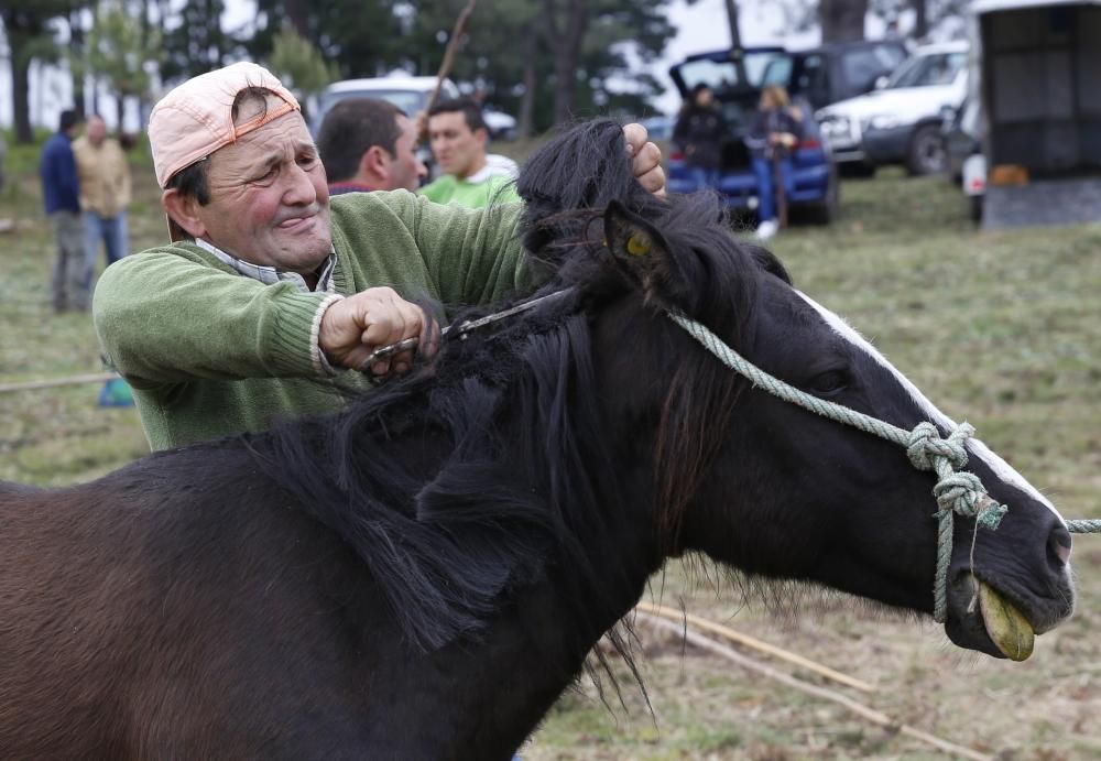 El primer curro de la temporada marca 270 caballos ante más de un millar de espectadores en Oia