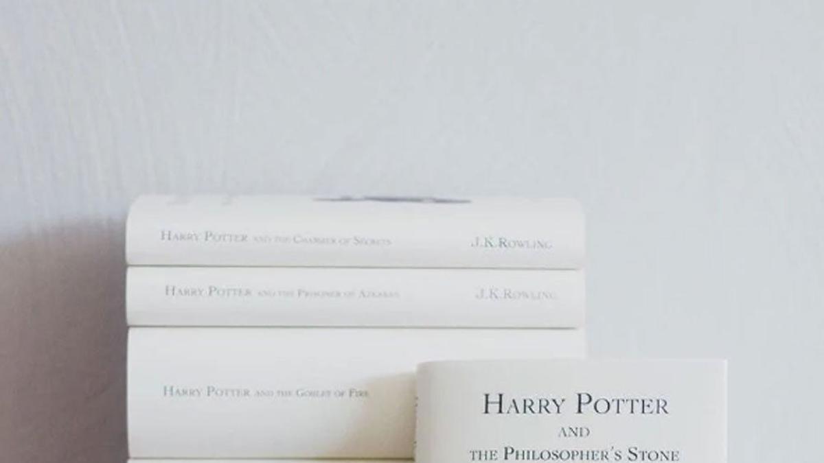 Accesorios de lectura (nada vistos) para fans de los libros de Harry Potter y la cuquez