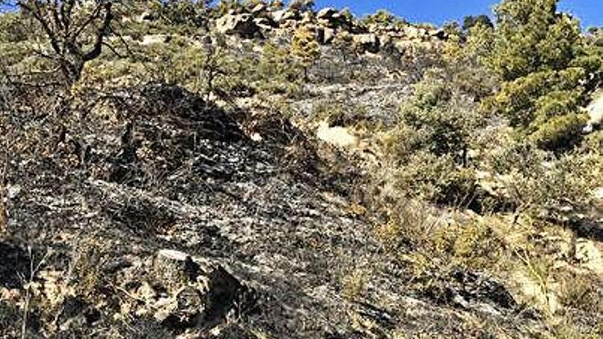 Un foc afecta gairebé mitja hectàrea a Solsona