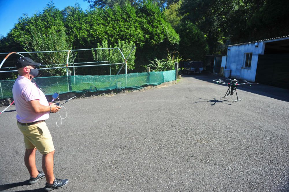 Trabajos de Aeromar para eliminar el nido de velutinas con su dron.