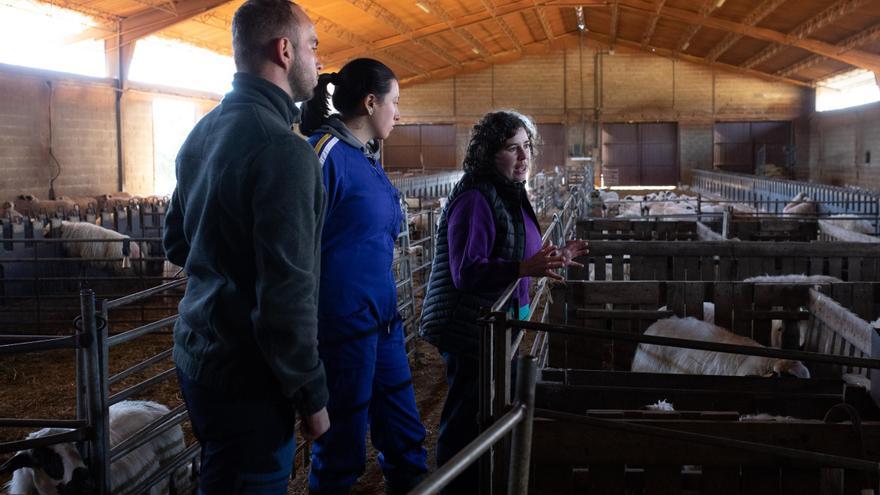 GALERIA | Aprendiendo a ser ganaderos en una granja de Sayago