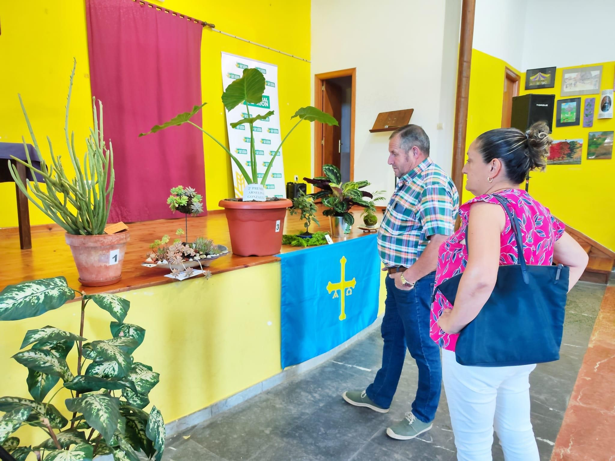 Quintes, entre hortalizas y plantas en una nueva exposición de la huerta