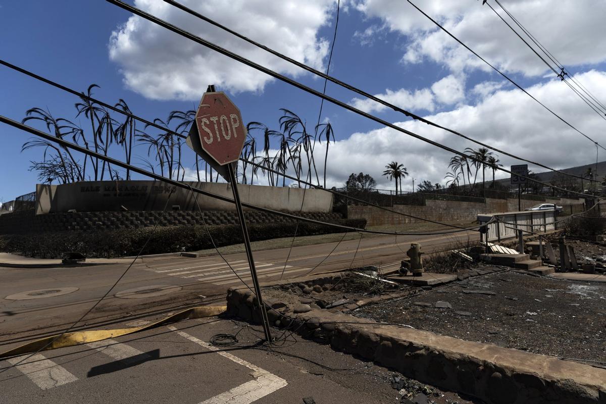 Devastación en Maui