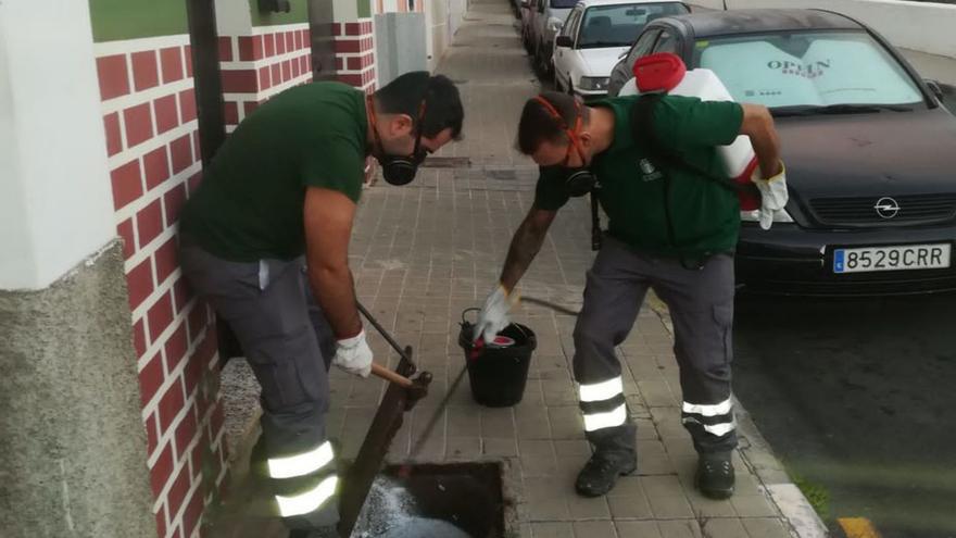 La pintura insecticida llega al Alfredo Kraus y el barrio de San Roque