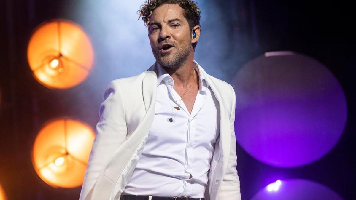 David Bisbal, durante un concierto.