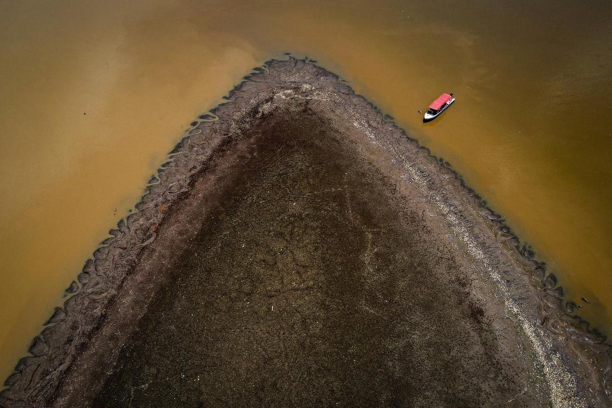 Se ven peces muertos en el lago Piraña, afectado por la sequía del río Solimoes, en Manacapuru, estado de Amazonas, Brasil, el 27 de septiembre de 2023.