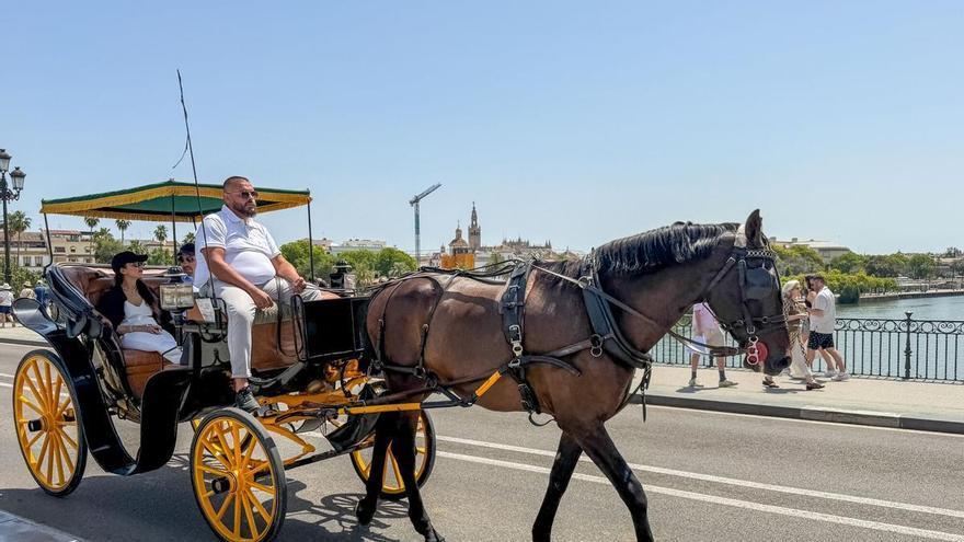 La Aemet prevé un domingo casi veraniego en Andalucía con subida de temperaturas y levante fuerte