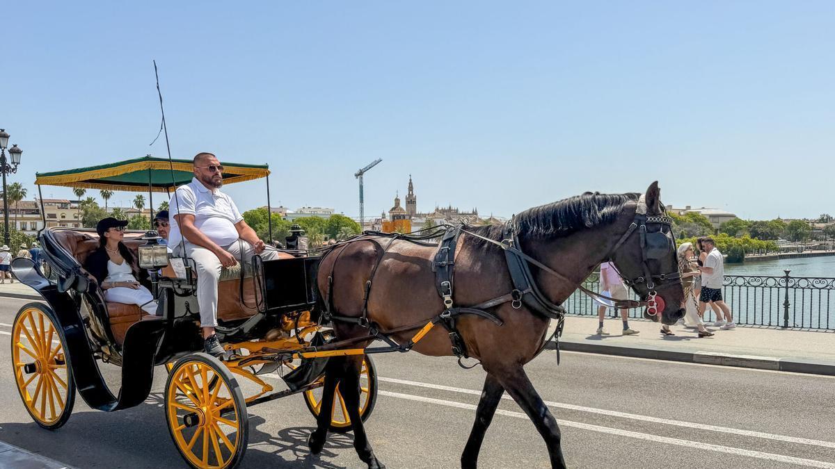 Una pareja de turistas dan un paseo en coche de caballos este sábado en Sevilla
