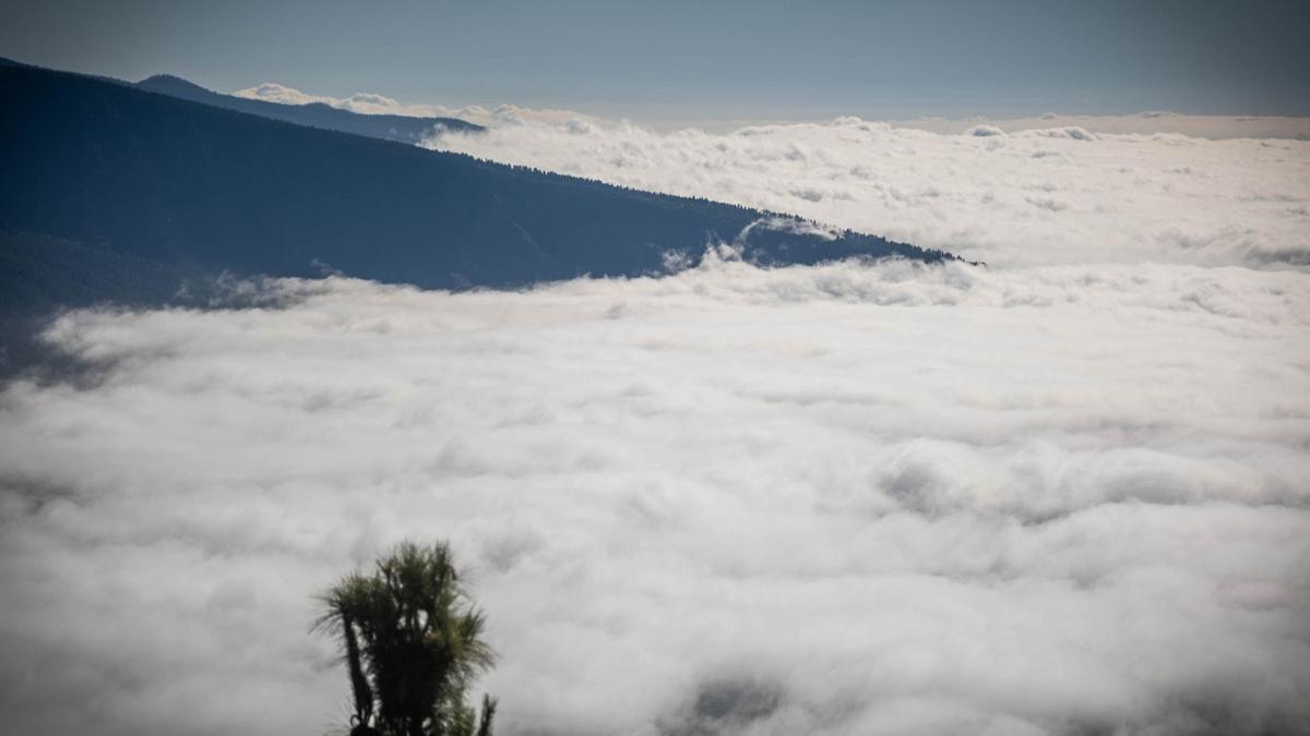 El mar de nubes debido al alisio, deja precipitacioes
