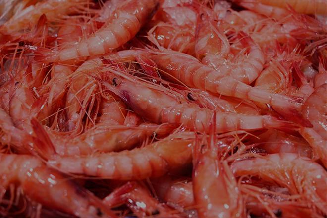 Gambas rojas de Pescadería Nieves