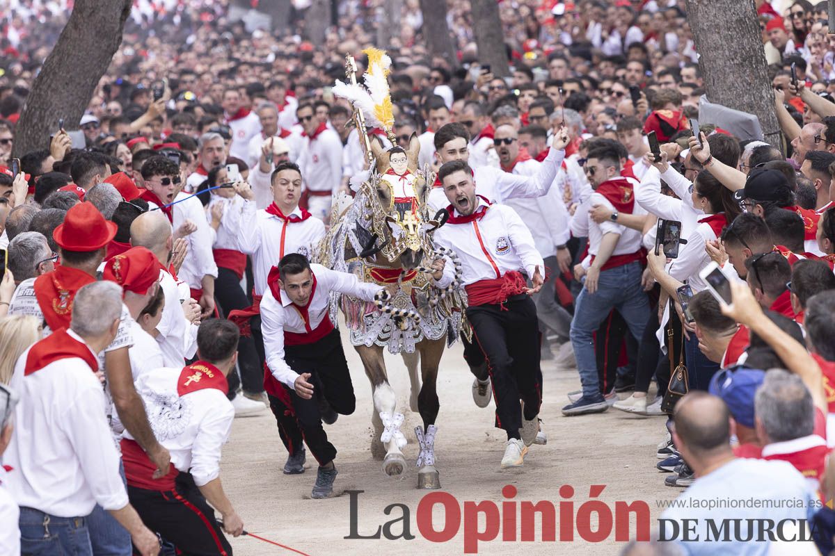 Así se ha vivido la carrera de Los Caballos del Vino en Caravaca