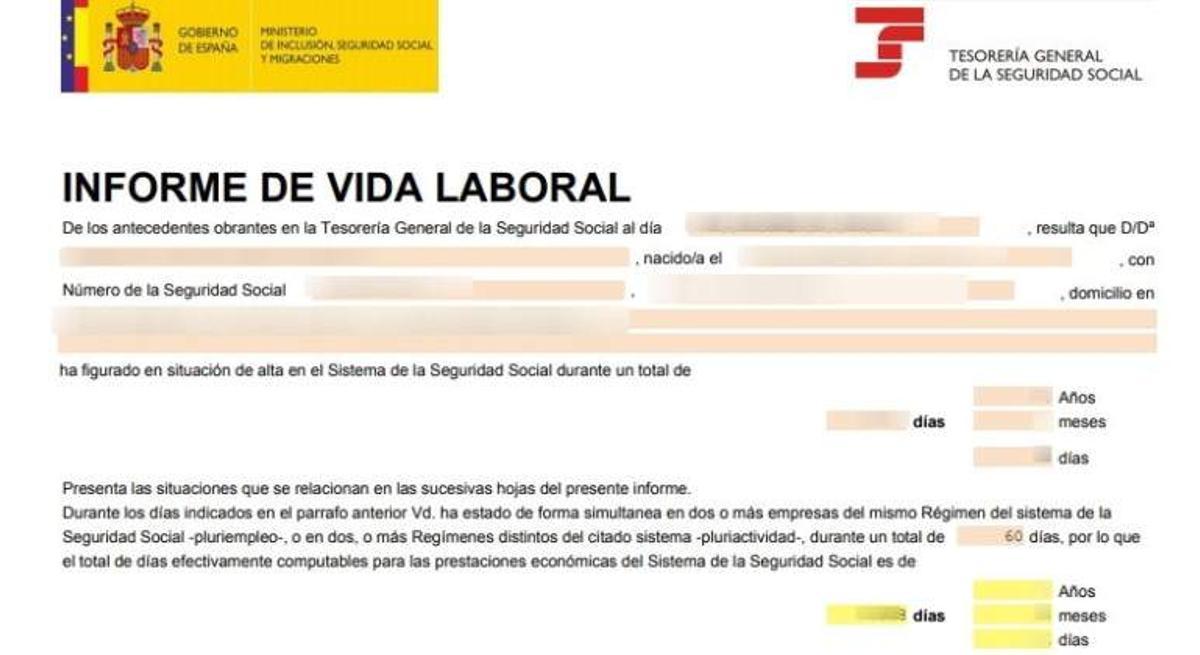 Informe de la vida laboral