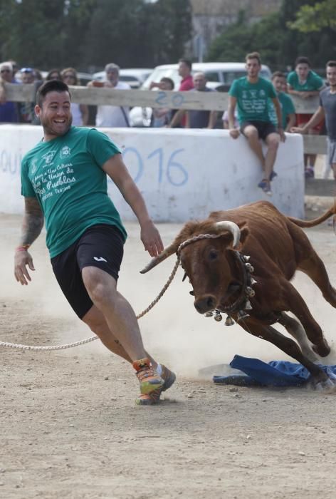 Vaquetes de Torroella de Montgrí