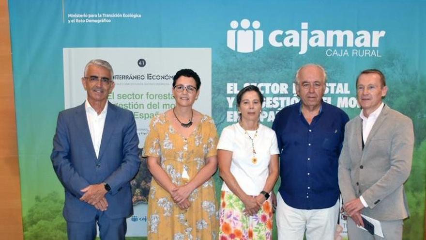 Una publicación de Cajamar advierte de que habrá más incendios de alta intensidad con mayor capacidad de propagación