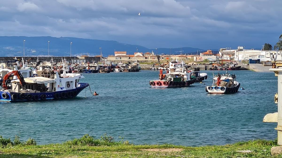 Embarcaciones en la ensenada de Moreiras, en O Grove.