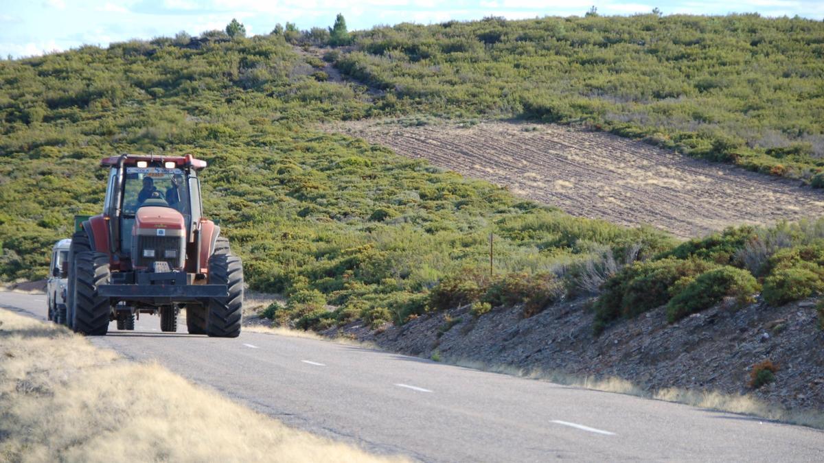 Carretera de Rihonor de Castilla