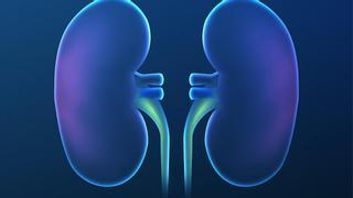 Los nefrólogos confirman que el trasplante renal con donante vivo da mejor resultado