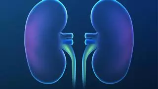 Los nefrólogos confirman que el trasplante renal con donante vivo da mejor resultado