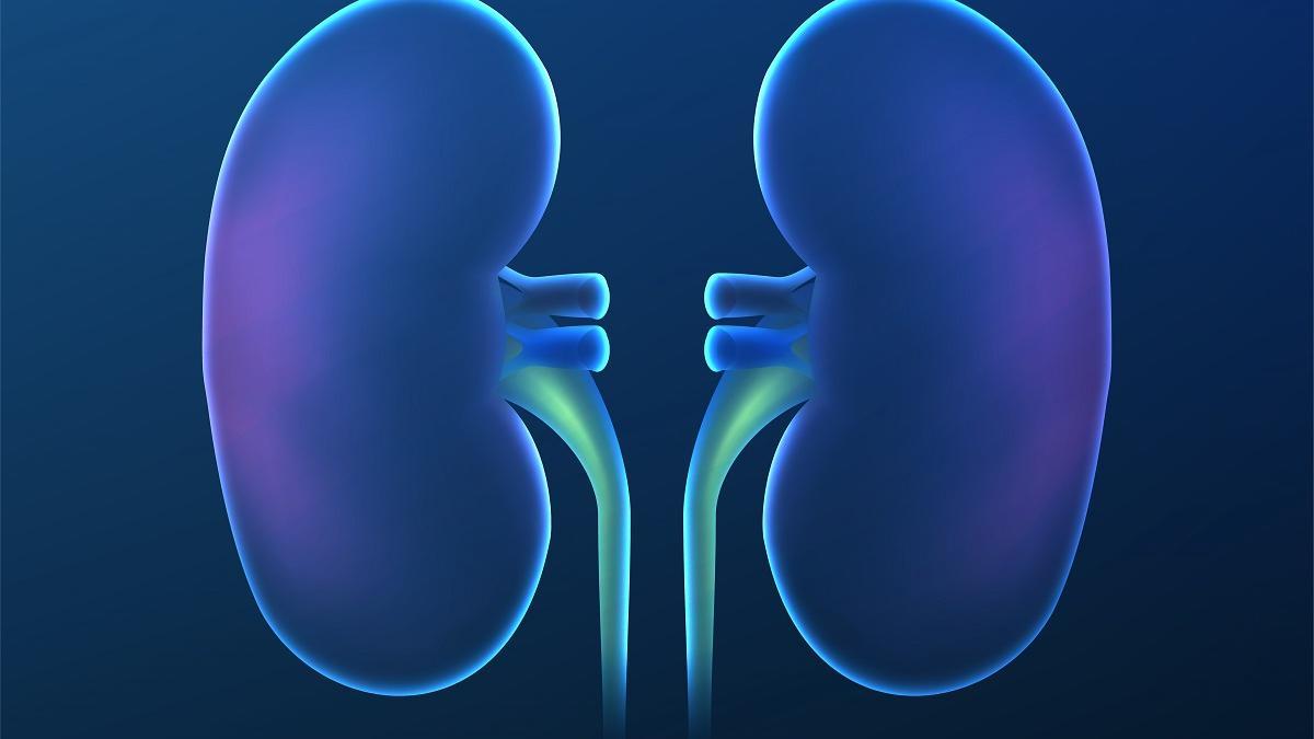 Los nefrólogos confirman que el trasplante renal con donante vivo es ofrece mejores resultados a largo plazo