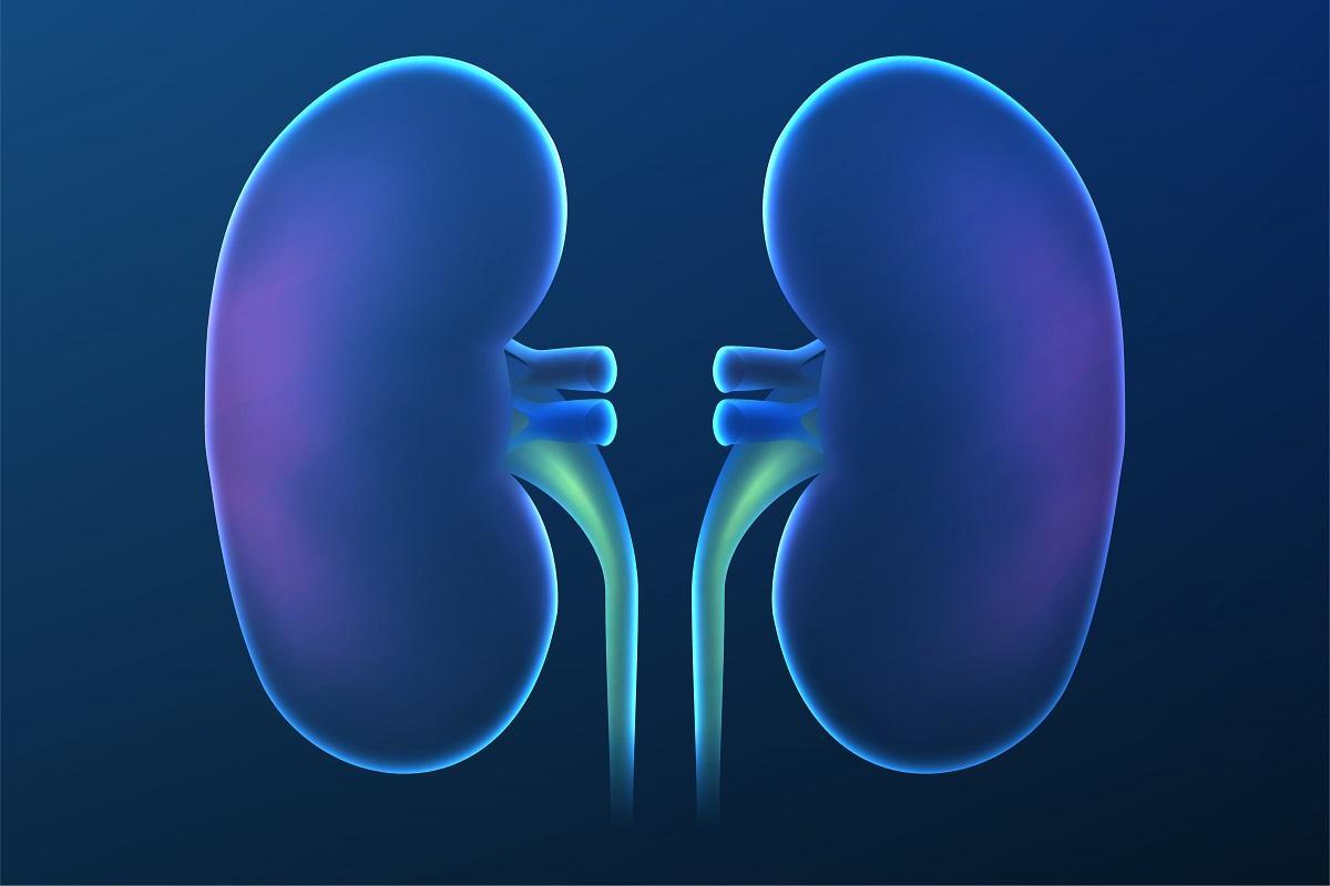 Los nefrólogos confirman que el trasplante renal con donante vivo es ofrece mejores resultados a largo plazo