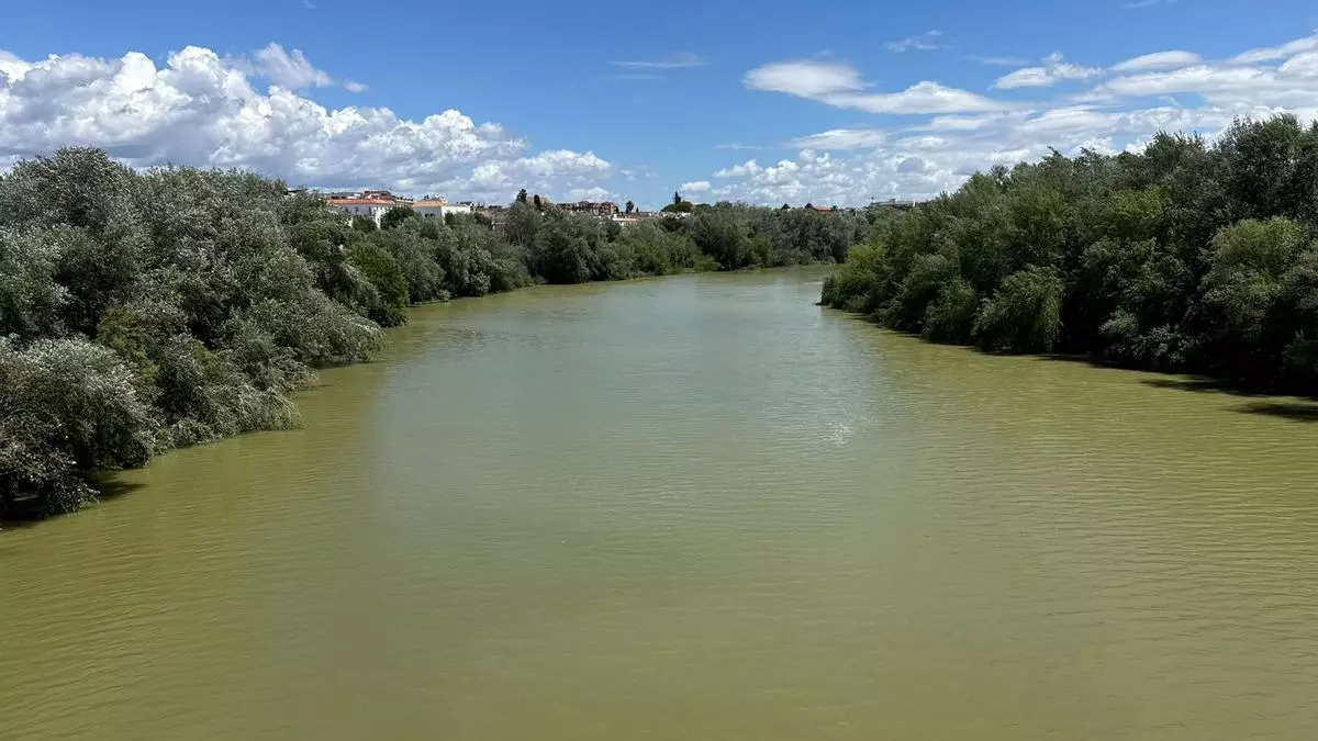 Un estudio sobre el agua del Guadalquivir demuestra su "deterioro gradual"