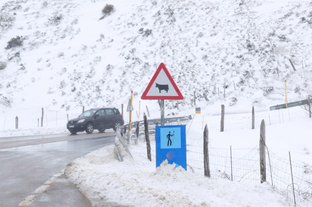 Nevada en Pajares